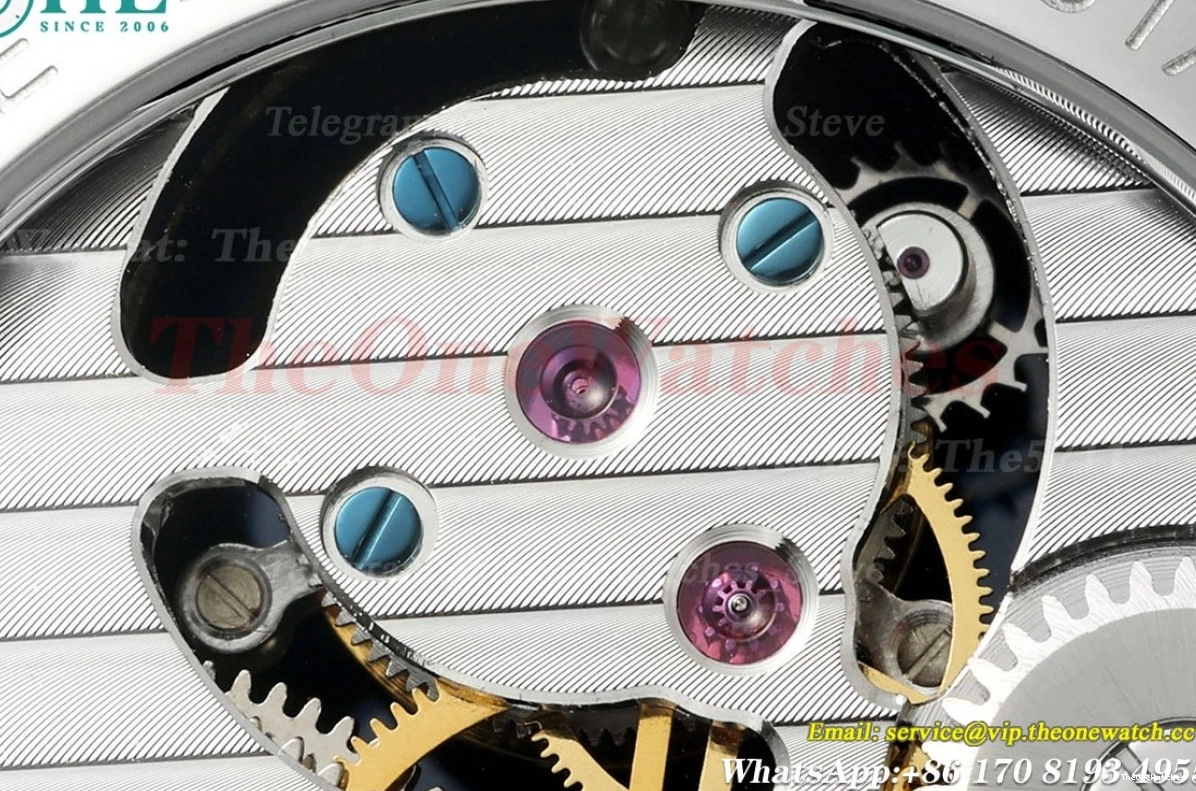 Sky Dial 42mm SS Complications Tourb RMSF LE Starry 0420